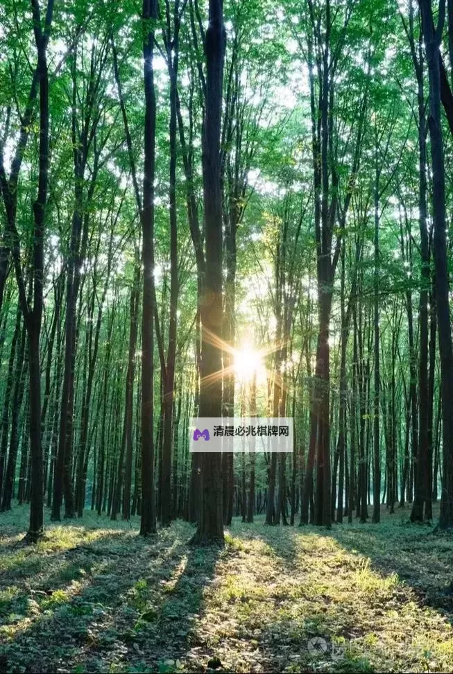 租客H1VL1:开启智慧租赁新时代的关键选择图1