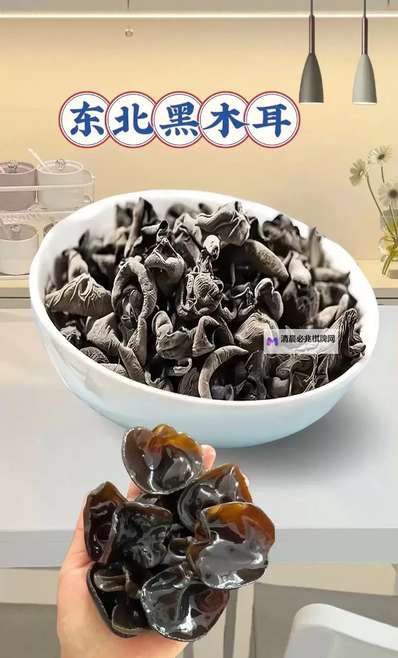 探索中国黑木耳网:优质资源与产业发展新机遇图1