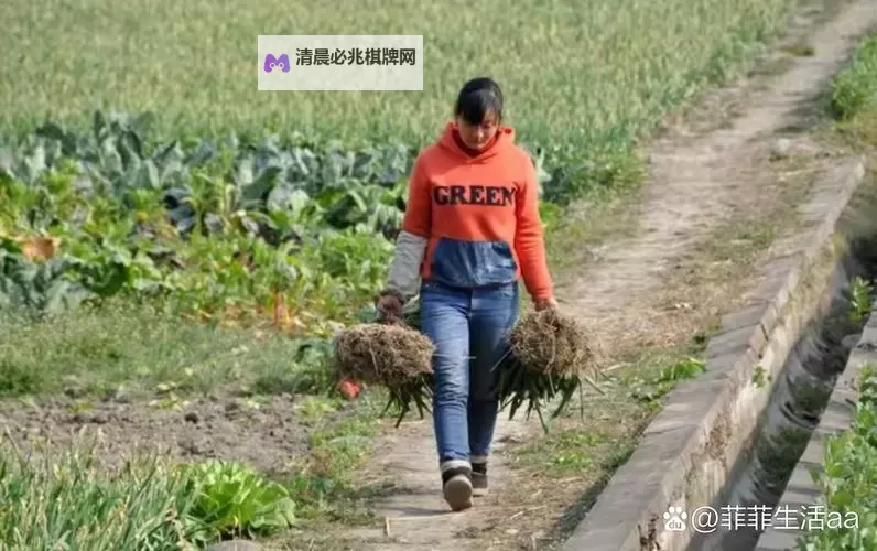 在女儿身上耕田:乡村生活的传承与希望图1