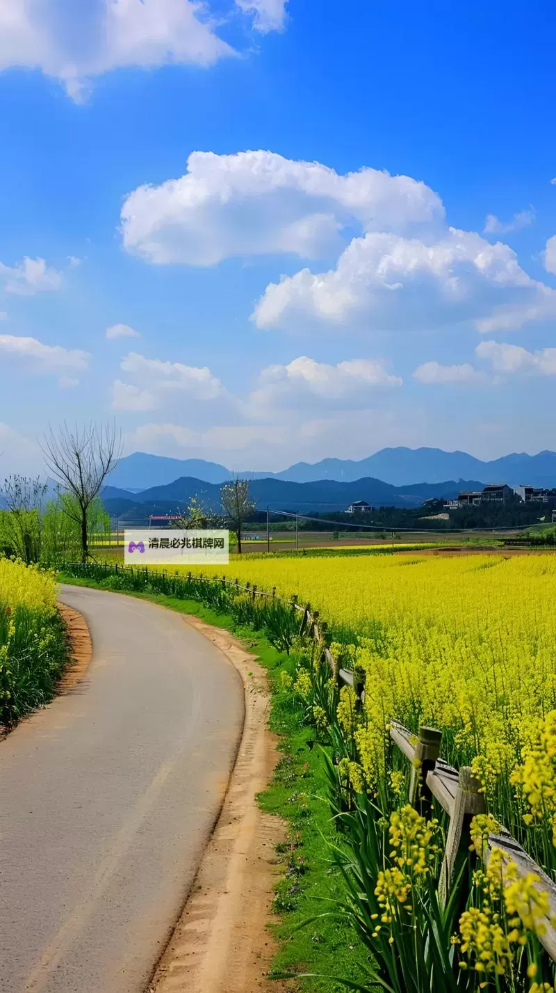 《哈迪斯2》全房间奖励介绍图1