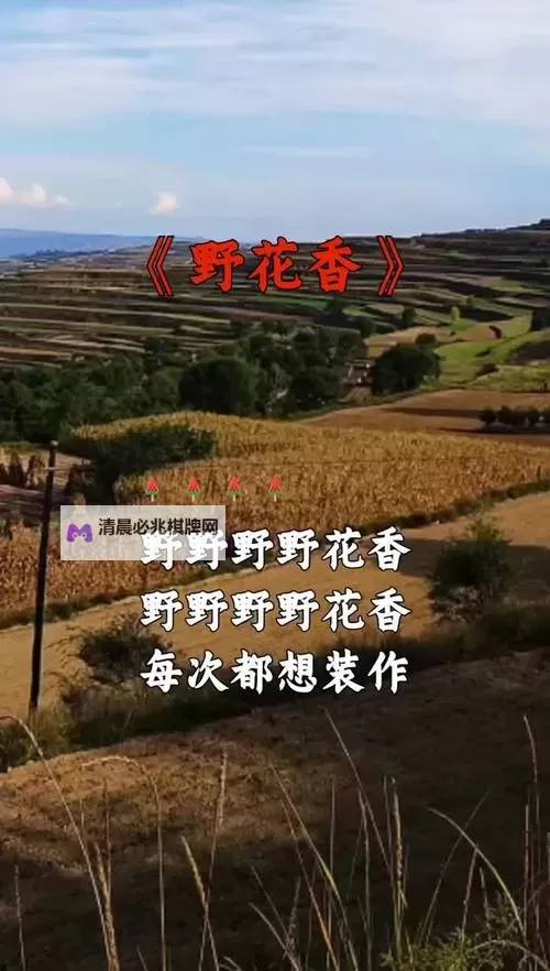 野花香韩国视频在线5:高清完整观看指南与精彩内容介绍图1