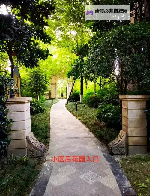 探索中华文化之美:国色天香一区二区的瑰丽魅力图1