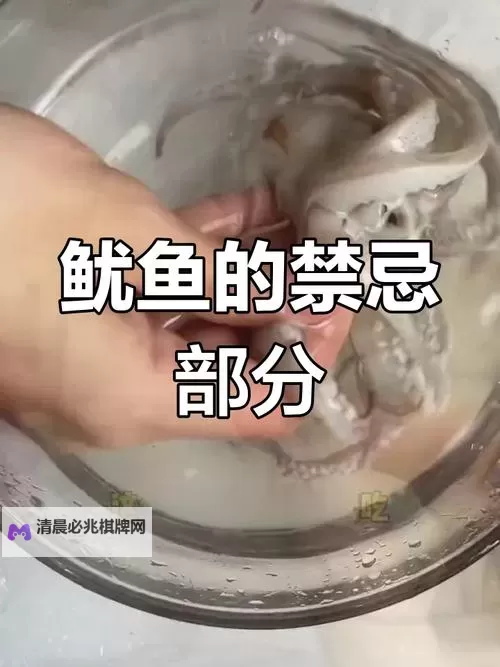 新鲜料理秘诀:鱿鱼直接进入的快速烹饪技巧图2