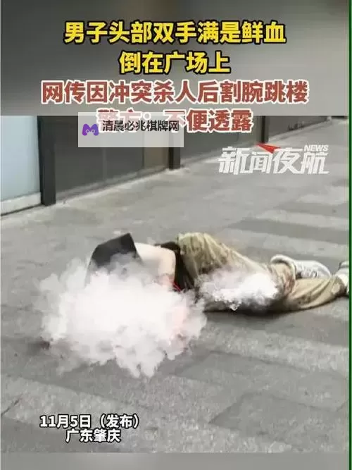 厦门砍伤手飞了事件全程回放原视频在线观看,震撼人心的瞬间全纪录图1