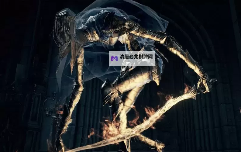 《黑暗之魂》系列BOSS数据及打法指南图2