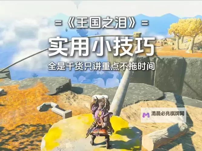 《塞尔达传说王国之泪》三种赚钱方法教学图1