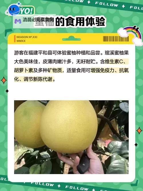 蜜柚在线播放官网:在线观看热门影视作品的最佳平台图1