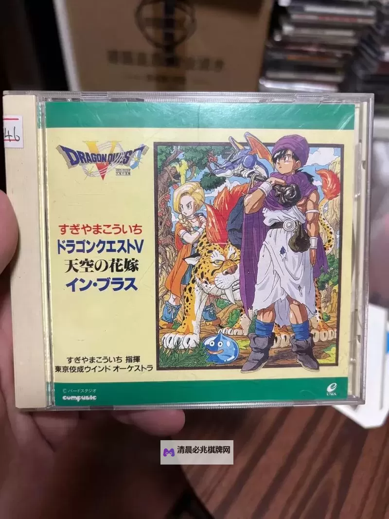 探索经典再现:勇者斗恶龙5图文全攻略与精彩画面欣赏图2