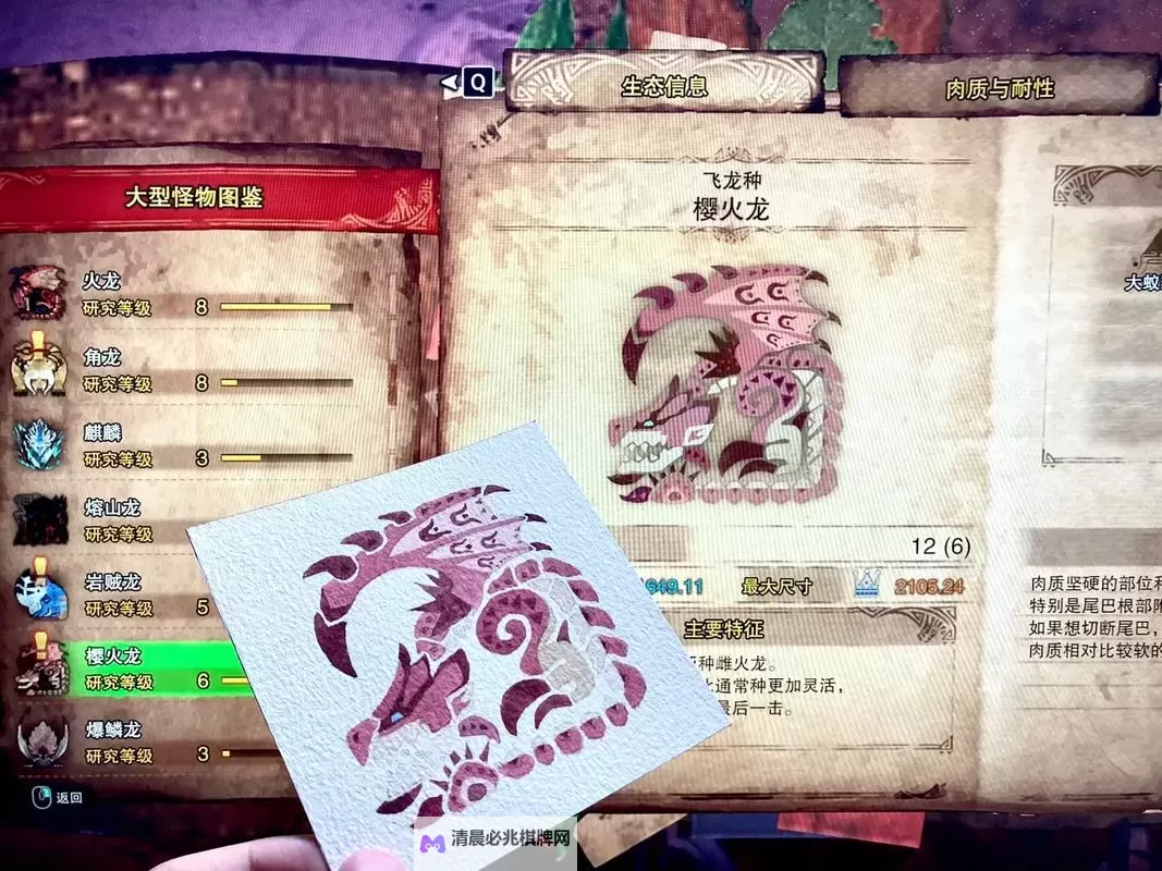 《怪物猎人荒野》火龙打法及掉落材料一览 火龙怎么打图1