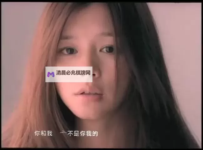 最新推荐:获取最近免费中文MV在线字幕的便捷方法图1