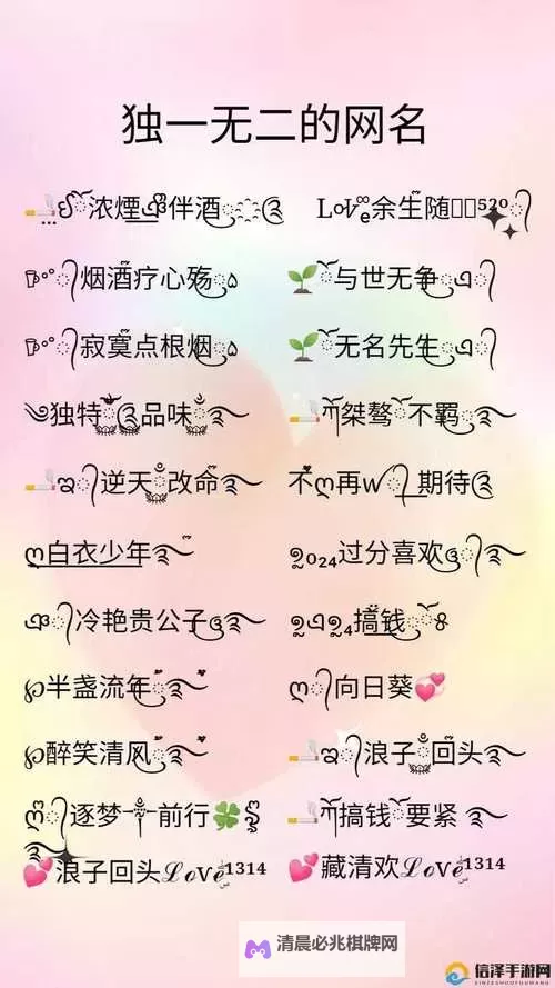 探索便捷通道:永久地域网名入口指南图2