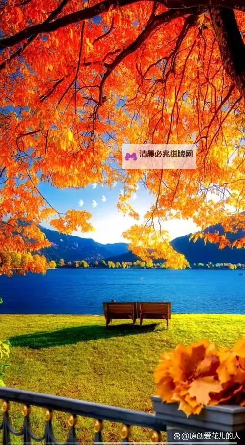 探索长泽锌浴室的独特设计与高品质体验图1