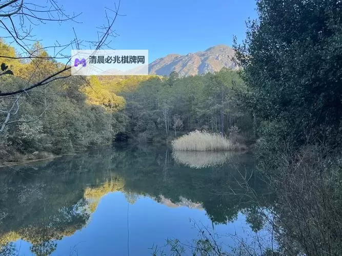 幻界之域电脑版下载 幻界之域模拟器哪个好?图1