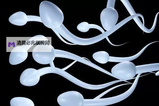 单男-91九色蝌蚪:奇幻冒险的彩色世界探索图1