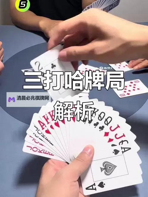 三打哈如何双开 2021最新双开神器来袭图1