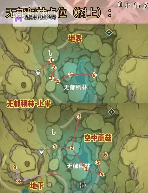 《原神》树王圣体菇采集路线一览 树王圣体菇在哪买图1