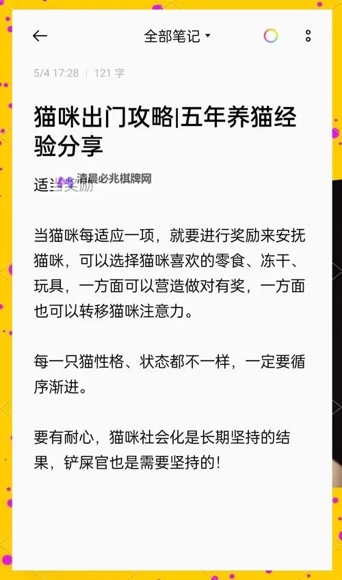 《探探猫大作战》萌新入门指南:游戏主线玩法&核心养成机制介绍图1