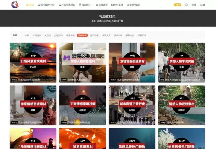 探索2024年最好的视频网站推荐与指南图1