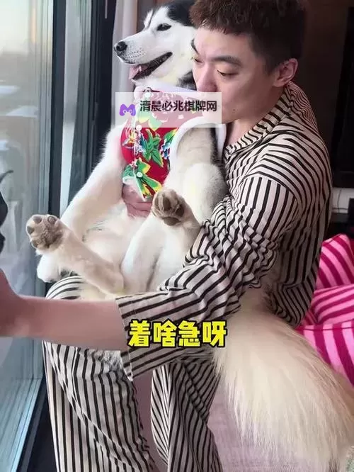 中国妈咪美国爹:中美家庭教育的温情与挑战图1