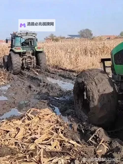 玉米地刮伦:田间白雪般的奇观与乡村记忆图1