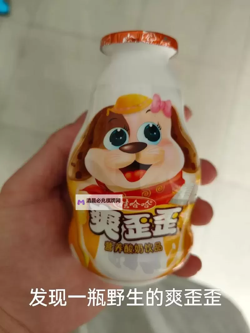 畅享无尽欢乐!永年爽歪歪的娱乐盛宴图1