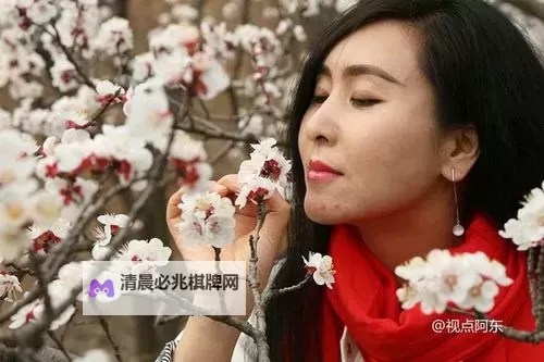 探索精彩影视体验:谷露电影地址一全攻略图1