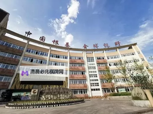 探索最新亚洲日韩视频:潮流娱乐新体验图1