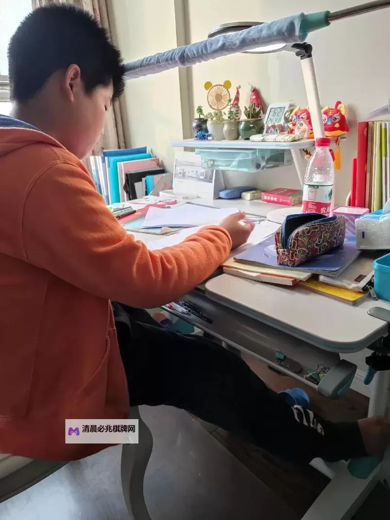 奇幻奇遇：我竟然坐在教授的棍子根茎上写作业图1