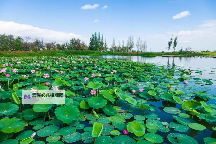 《讨鬼传极》蓝色羽毛获得方法 蓝色羽毛怎么获得图1