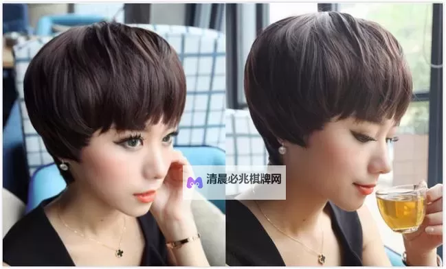 奇幻森林探险:又大又黑又长的蘑菇头的秘密图1