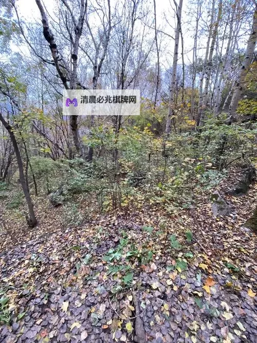 探索极限之美:令人震撼的最大胆的人体艺术图欣赏图1