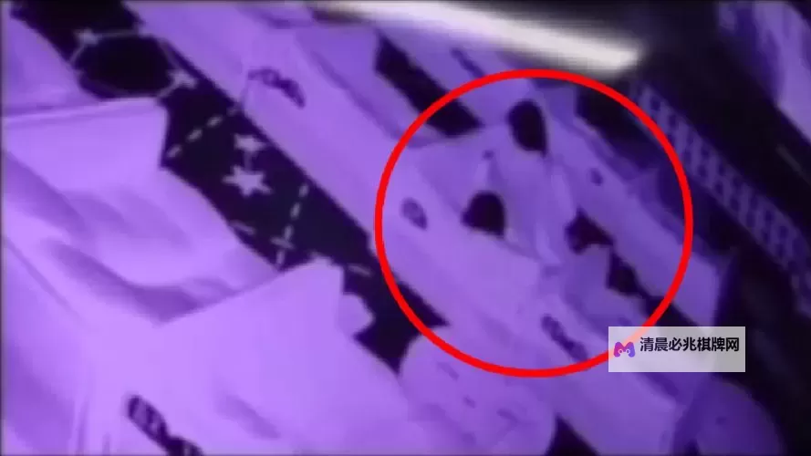 打扑克又叫又喊疼的视频：菊花台上的激烈角逐图1