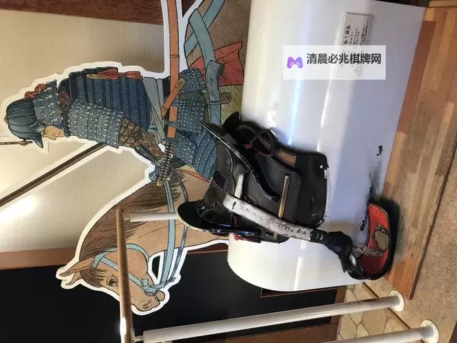 坐在有木棒的马鞍上难受:骑手心声与 saddle设计的反思图1