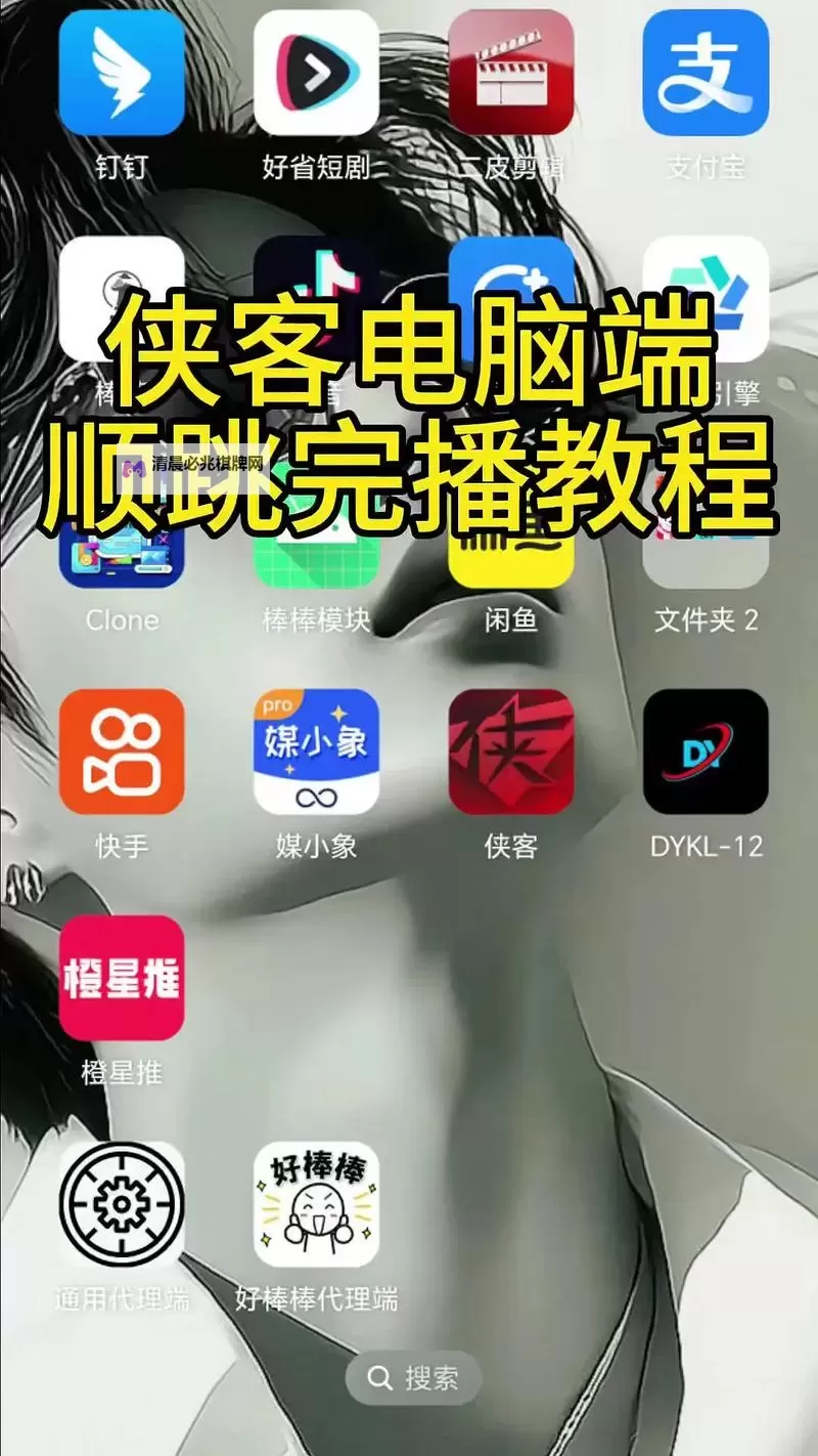 有没有斗侠双开软件推荐 深度解答如何双开斗侠图2