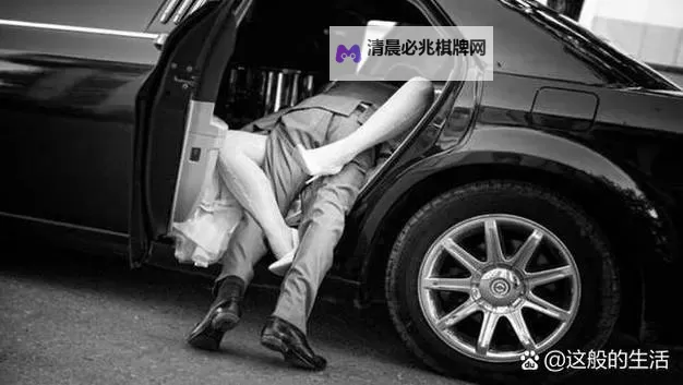 在后车座上的疯狂做I:一段惊心动魄的旅程图1