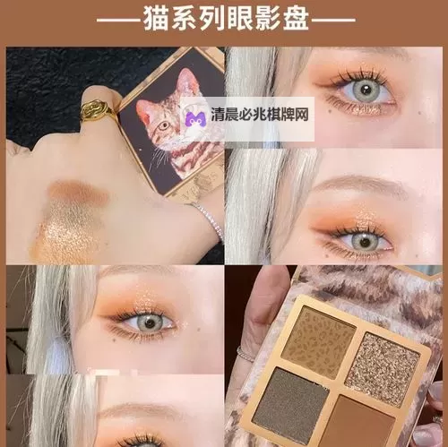 【2024年度推荐】畅享欢乐时光——色四色貓直播網站全新体验指南图1