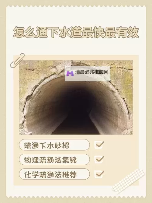 用我的棒棒通你的下水道在线,轻松解决管道堵塞难题图1