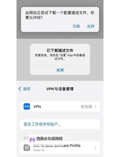 详细教程：XVDEVIOS官方中文版安装指南图1