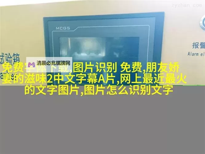 主人,我错了:请问能不能关掉开关?图1