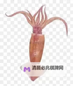 鱿鱼B25777直接进入市场引发关注图1