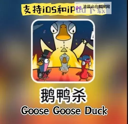 《鹅鸭杀》Steam多少钱 鹅鸭杀免费吗图1