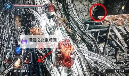 《数码宝贝新秩序》白金心得 全奖杯图文心得图1