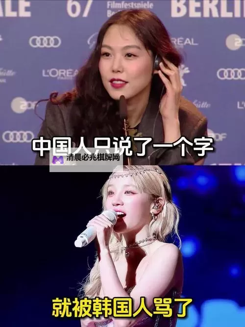 中国人骂韩国人:背后的原因与社会反思图1