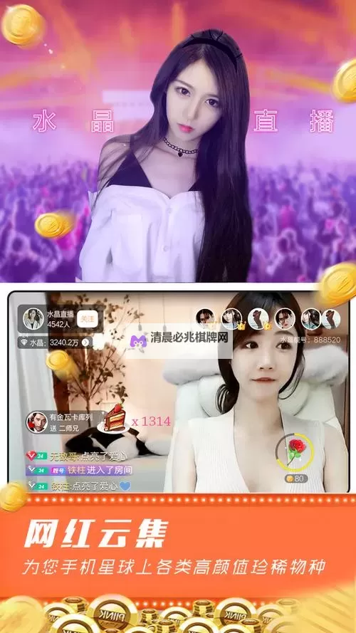 月夜直播在线:带你畅享神秘夜色中的精彩瞬间图1