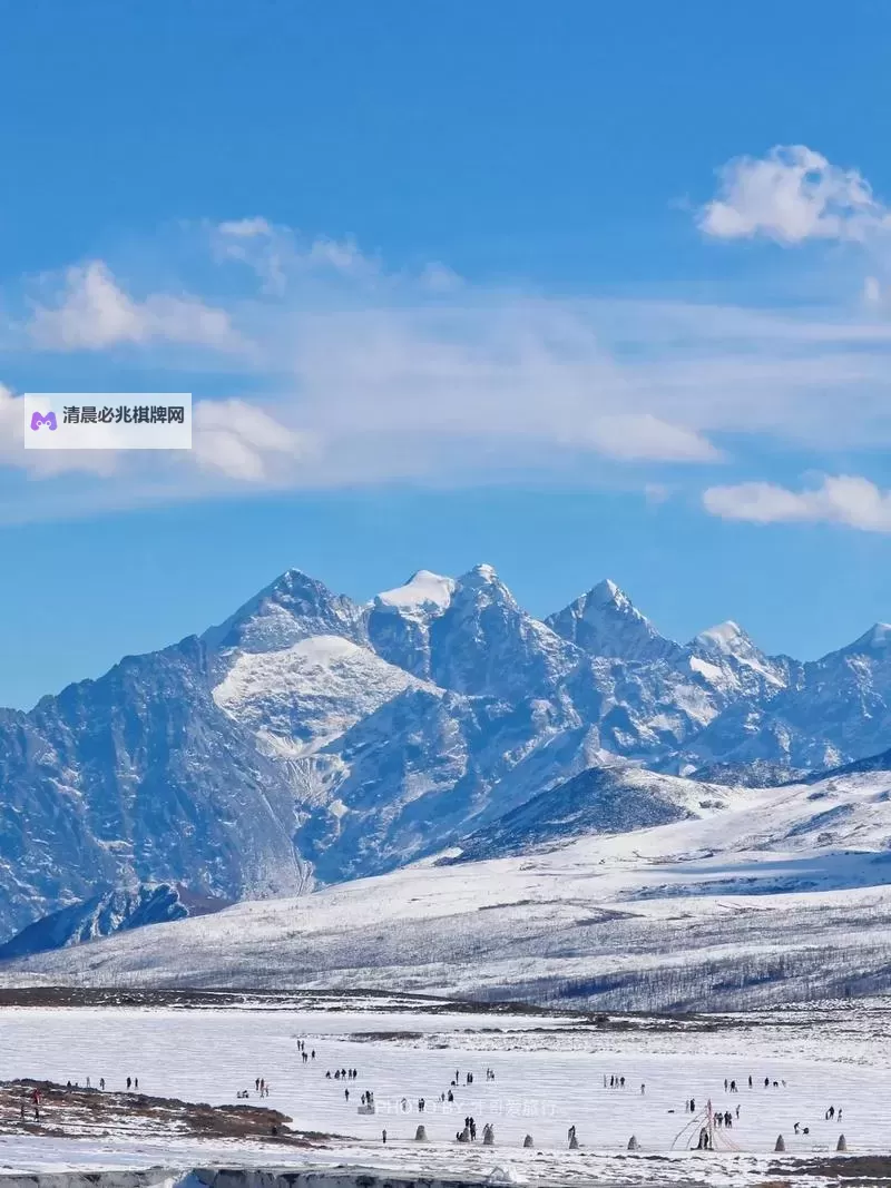 游戏王:决斗链接电脑版下载 怎么下载游戏王:决斗链接电脑版模拟器图1