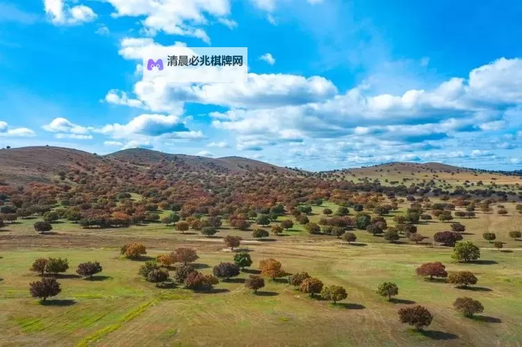 青楼传媒视频在线版:开启精彩视觉盛宴的新体验图1