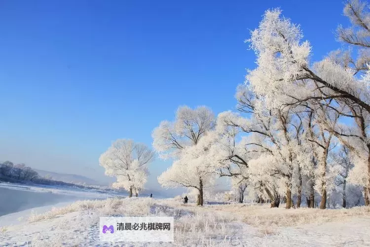 《无畏契约》新皮肤橙色疾影实机预览图1