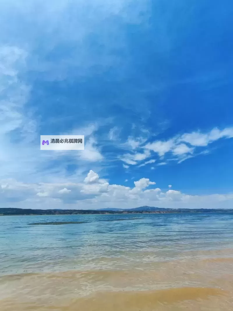 《热血物语地下世界》体育馆BOSS打法 体育馆BOSS怎么打图1