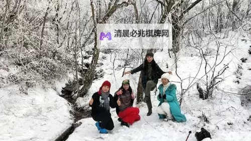 岳开始迎合:解析他为何逐渐妥协的内在原因图1