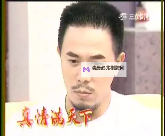 《真情满天下第二部:爱与奋斗的壮丽篇章》图1